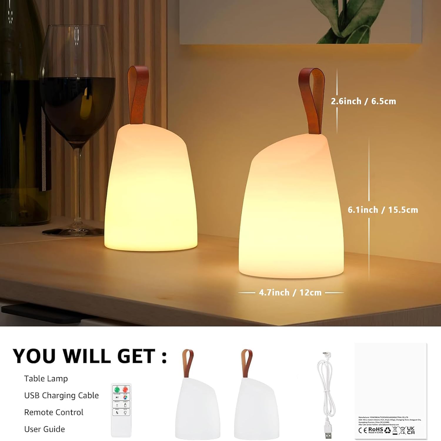 2 Pack RGB Remote Rechargeable Lanterns