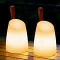 2 Pack RGB Remote Rechargeable Lanterns