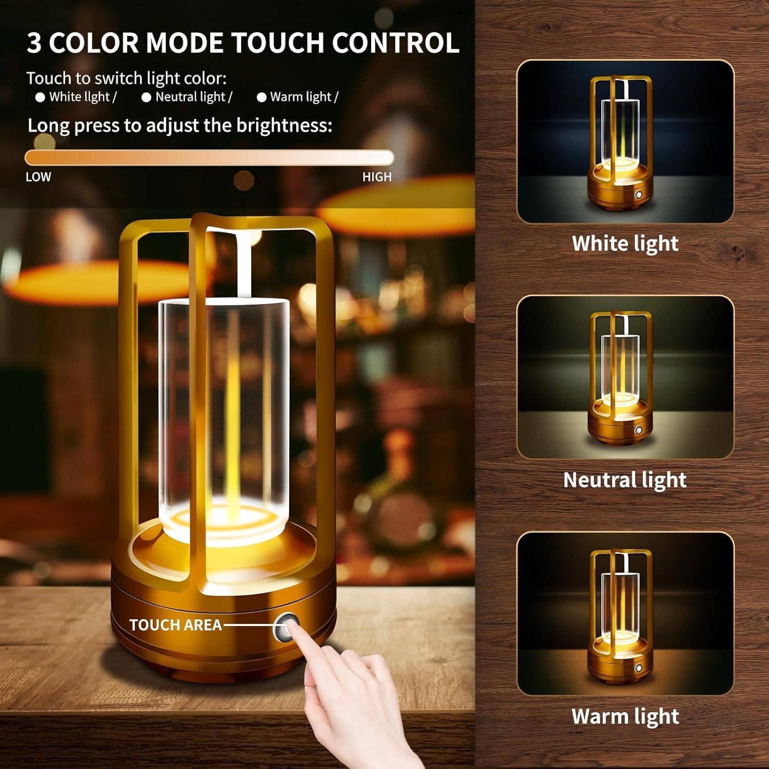 2 Pack Gold Dimmable Rechargeable Table Lamps