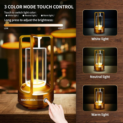 2 Pack Gold Dimmable Rechargeable Table Lamps